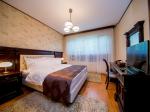 Cazare in Arad - BEST WESTERN CENTRAL HOTEL - Arad - click aici, pentru marirea pozei