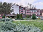 Hotel-parc-moneasa - Cazare in Statiunea Moneasa - 