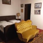 Cazare in Arad - PENSIUNEA AMADEUS & MONICA - Minis - click aici, pentru marirea pozei